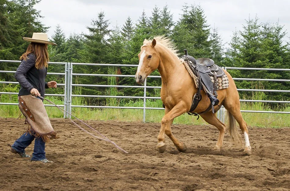 A woman in a cowboy hat and Western attire does liberty with a palomino horse in an outdoor riding arena surrounded by trees.