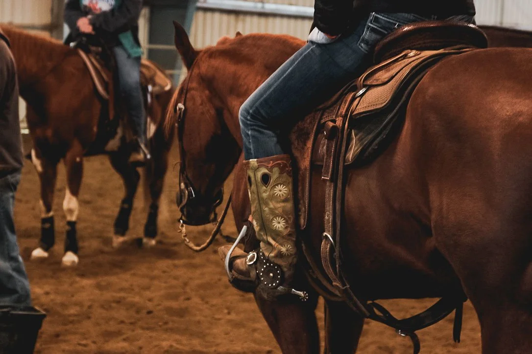 Stock Horse Clinic April 25th & 26th