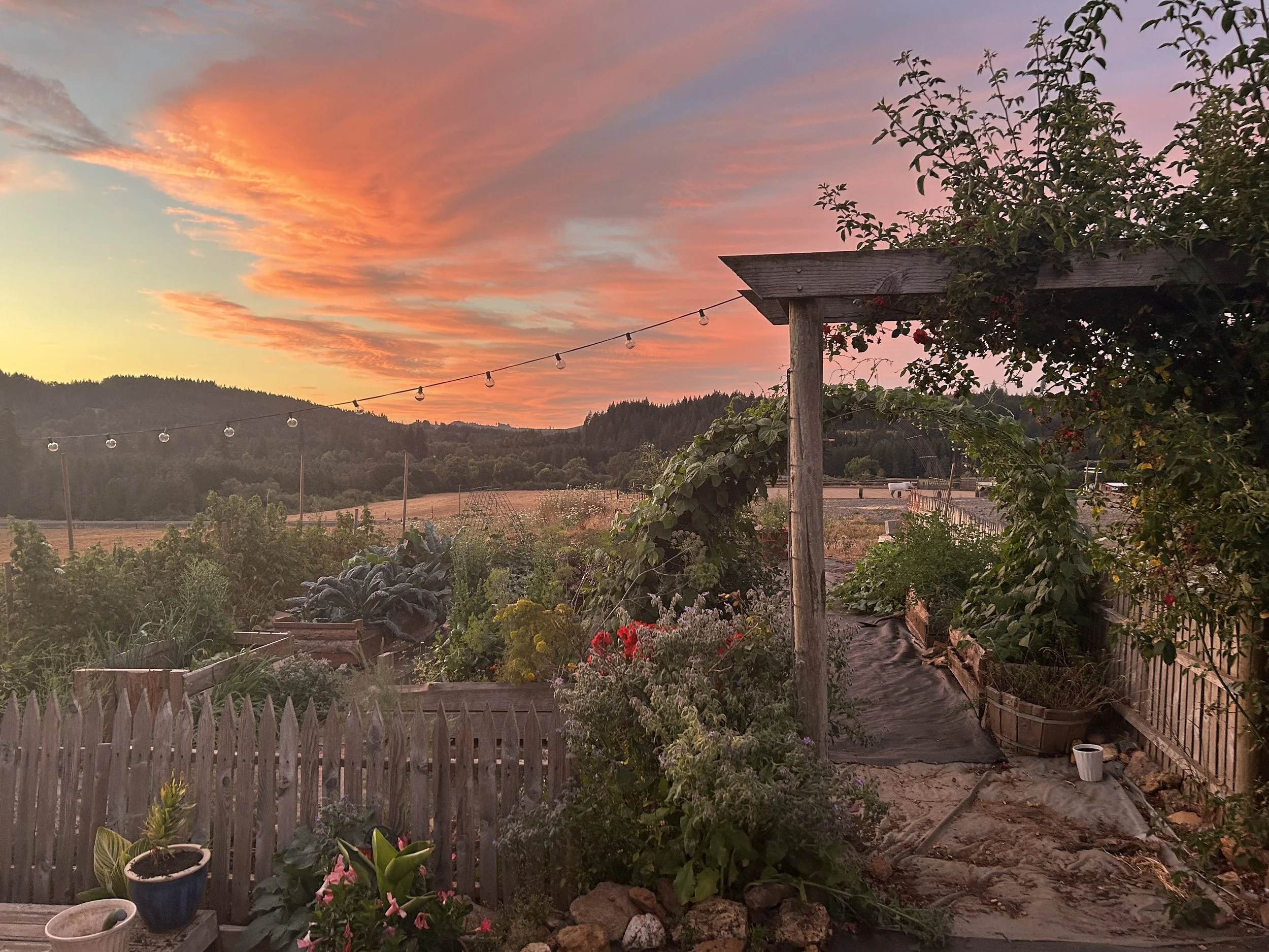 Sunset over a garden with a wooden fence, potted plants, flowering plants, a vine-covered pergola, and a string of outdoor lights, with hills and a colorful sky in the background.