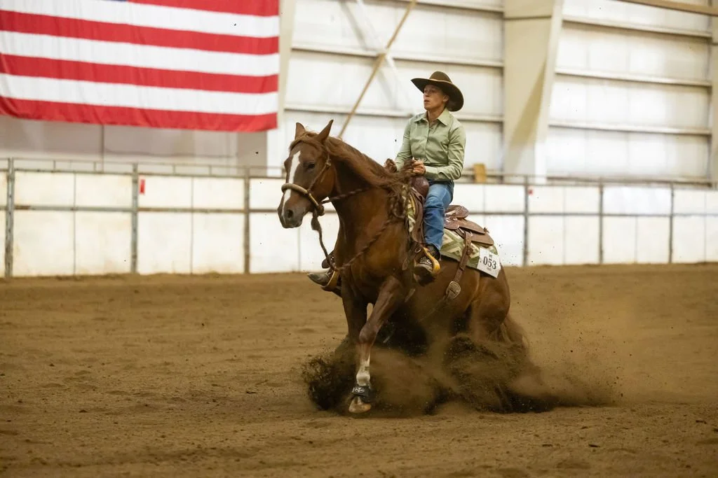 Beginner Stock Horse Clinic June 27th