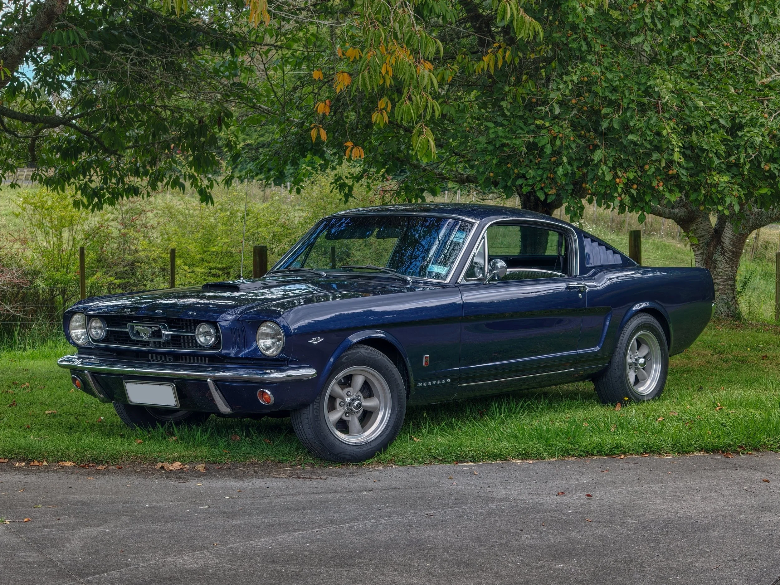 With Gorgeous Body Lines and a Classic Style