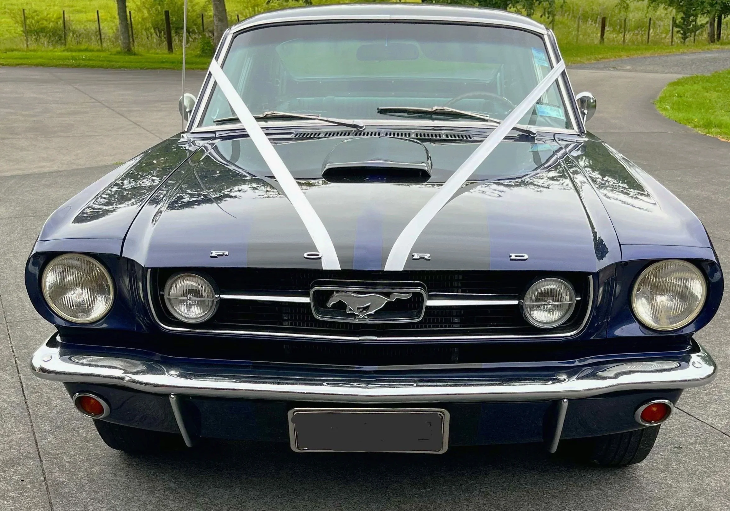 Dressed up in it's Wedding Clothes