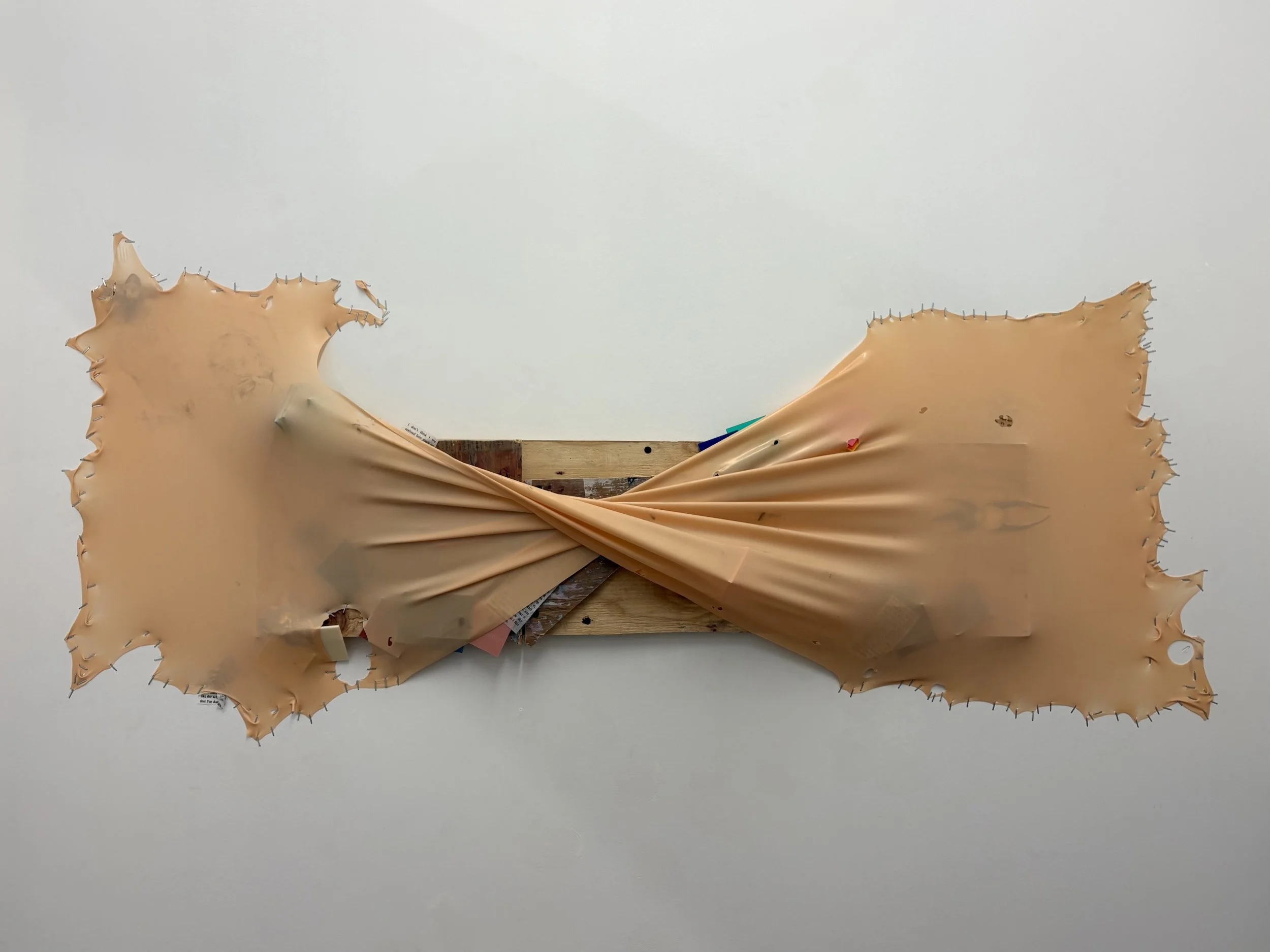 Sweet Bow (beau) Turned Out to a Pretzel, 2025