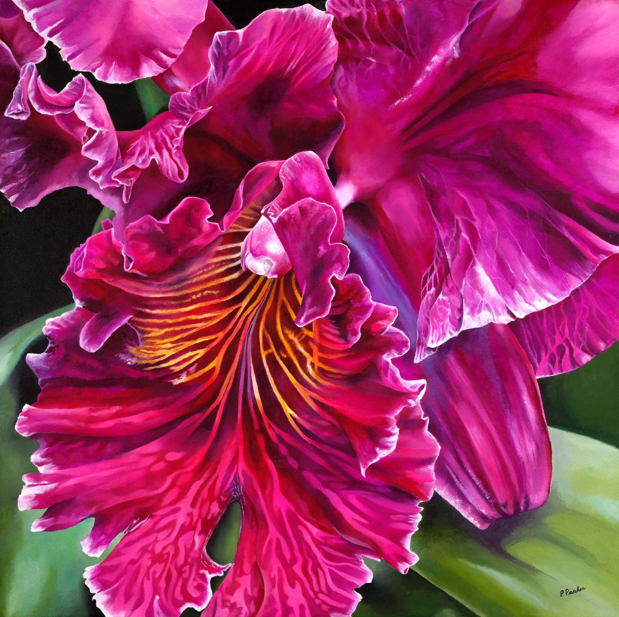 Pink Orchid 36x36