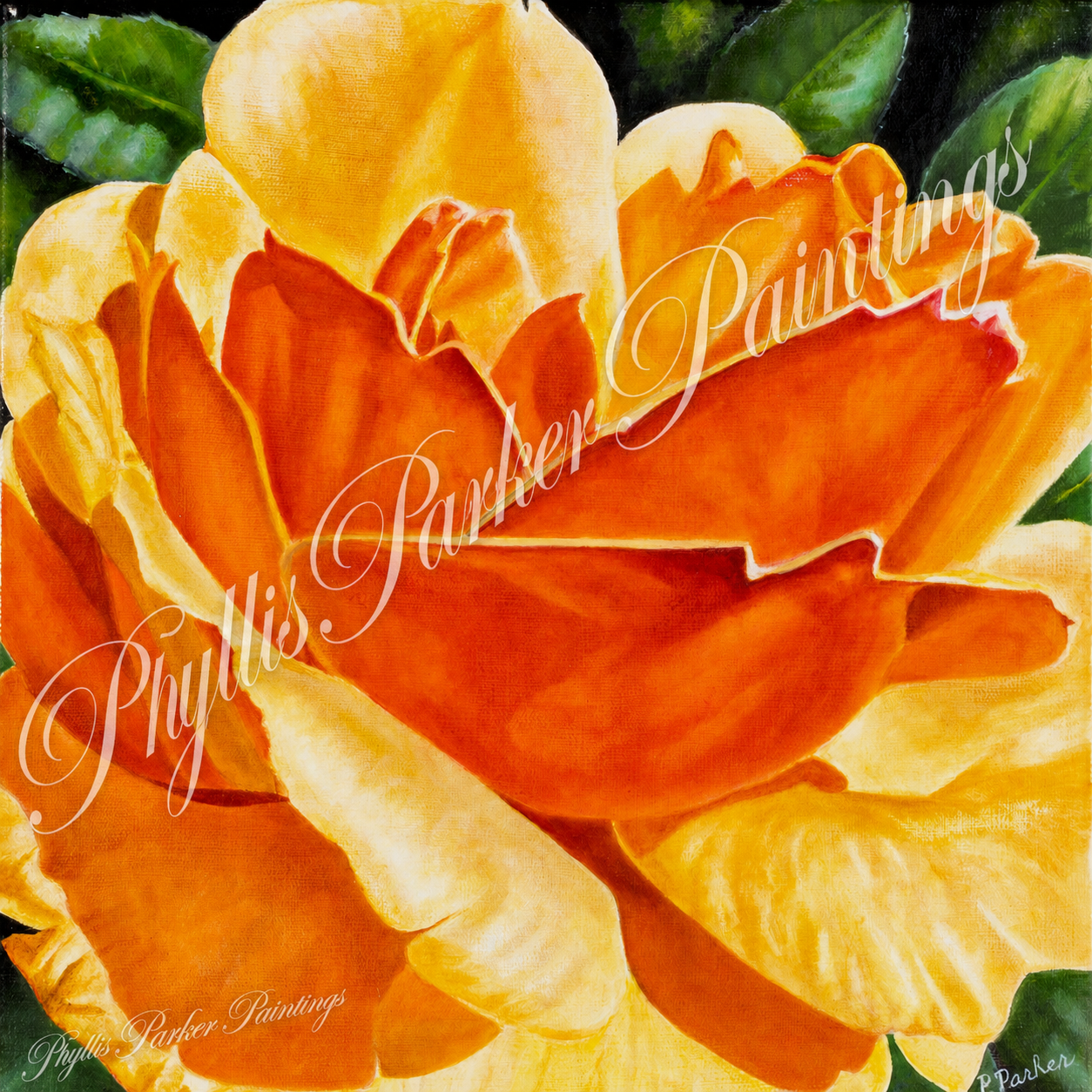Rose 12x12