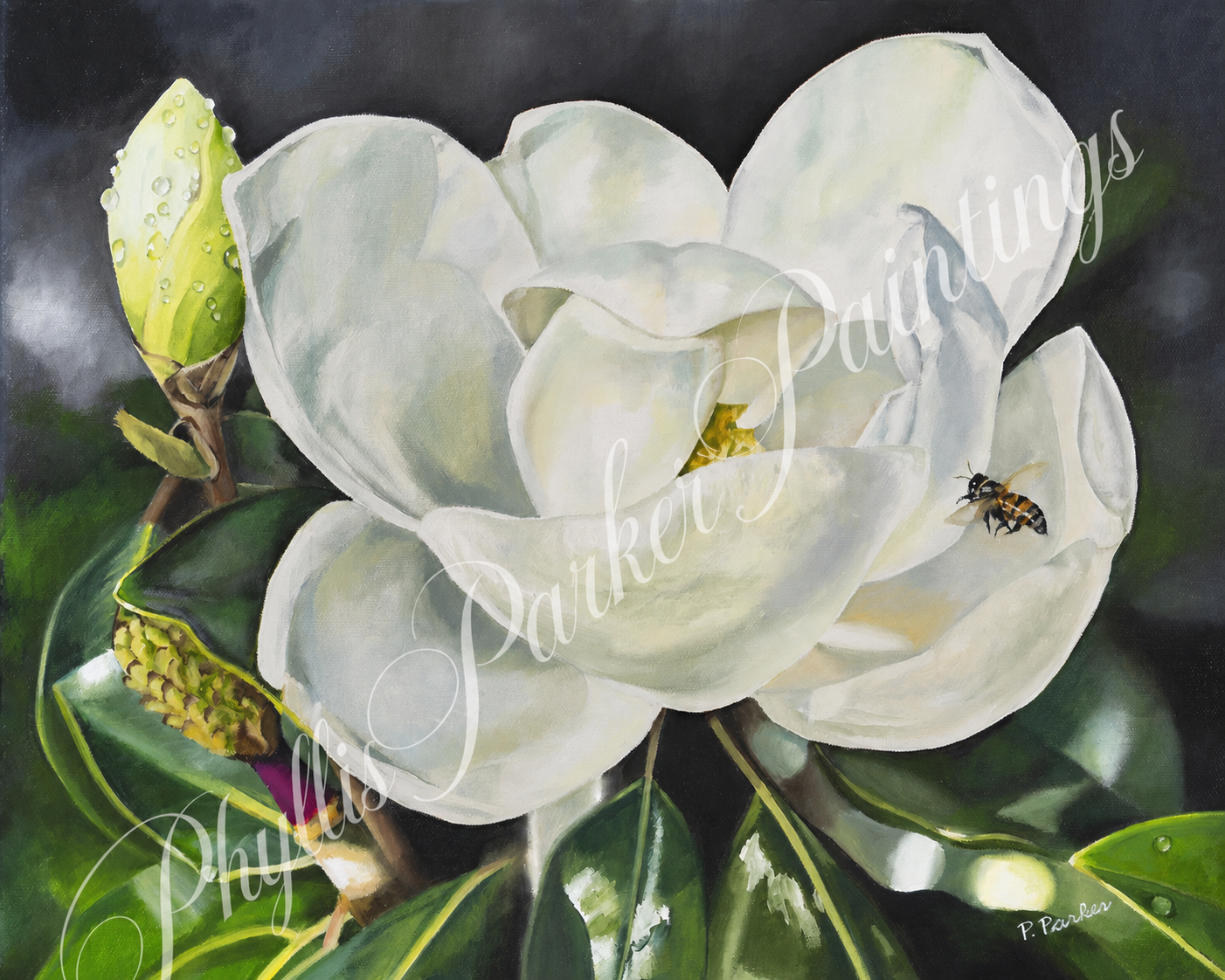 Magnolia in Three Acts, 16 x 20