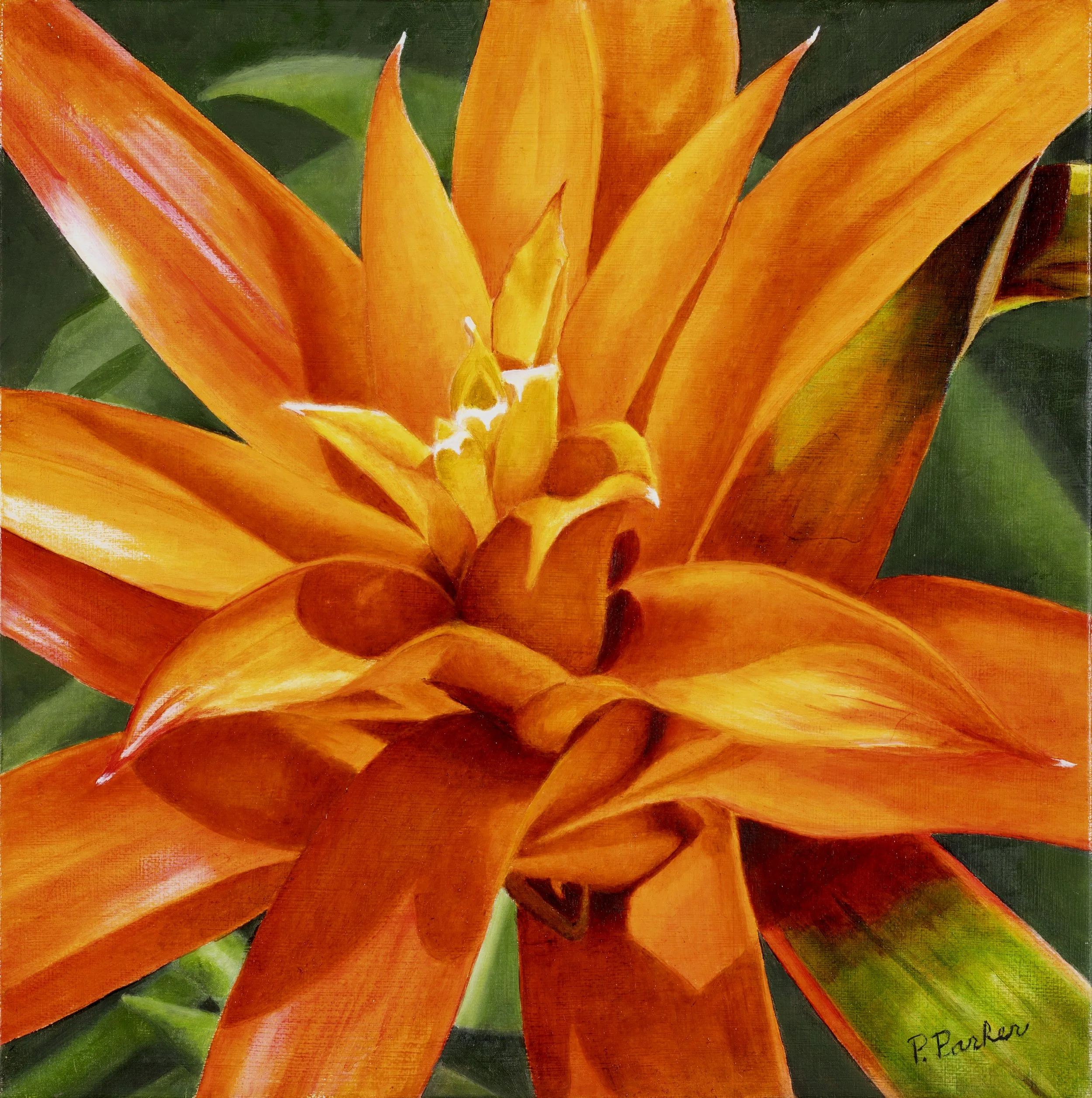 Orange Bromeliad 12x12