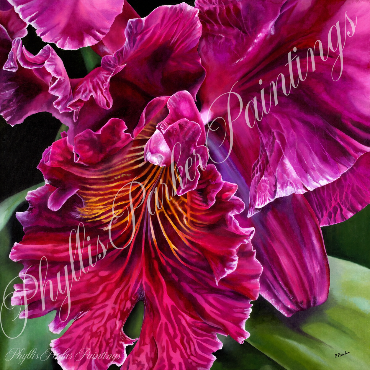 Pink Orchid 36x36