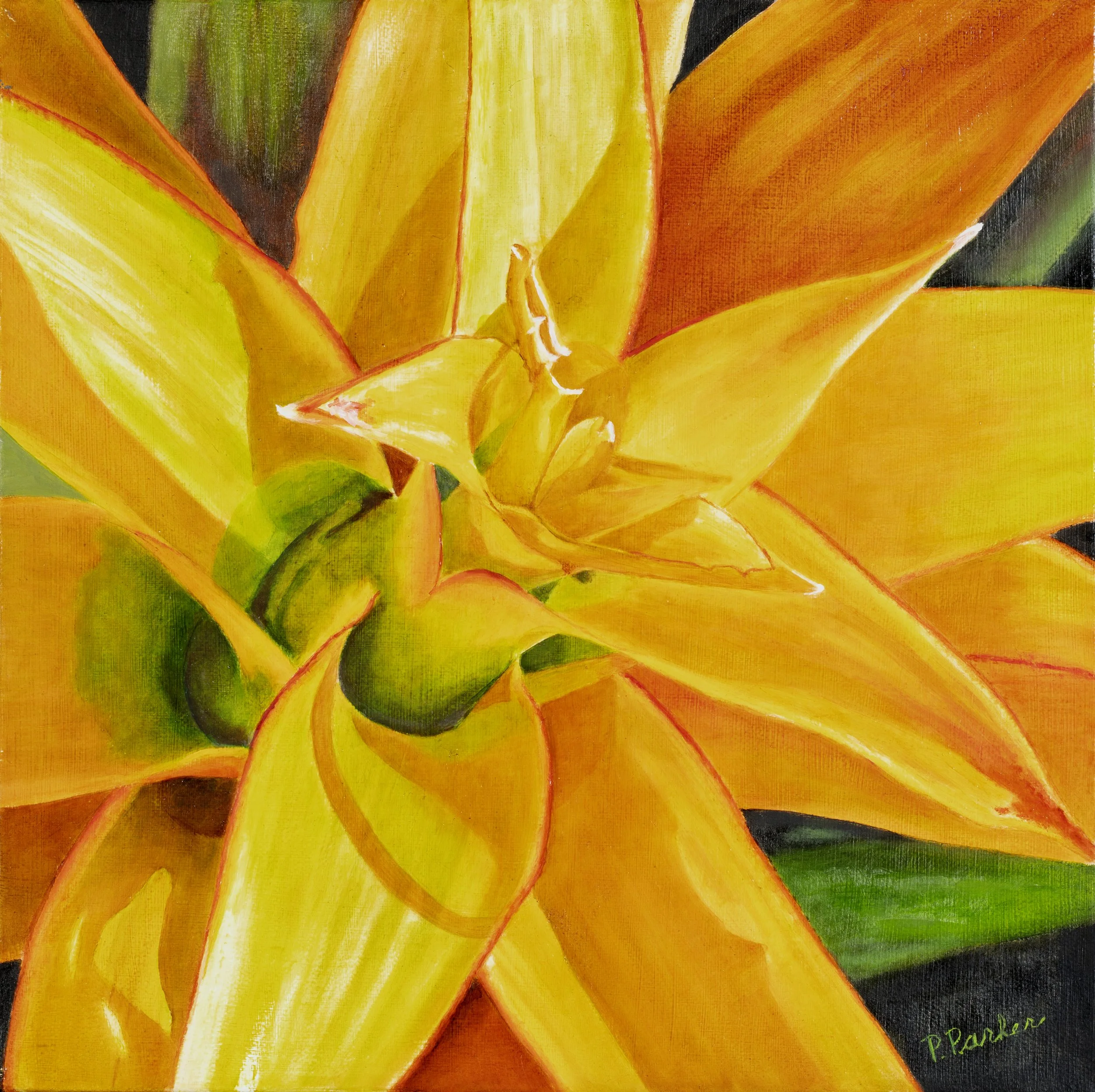 Yellow Bromeliad 12x12