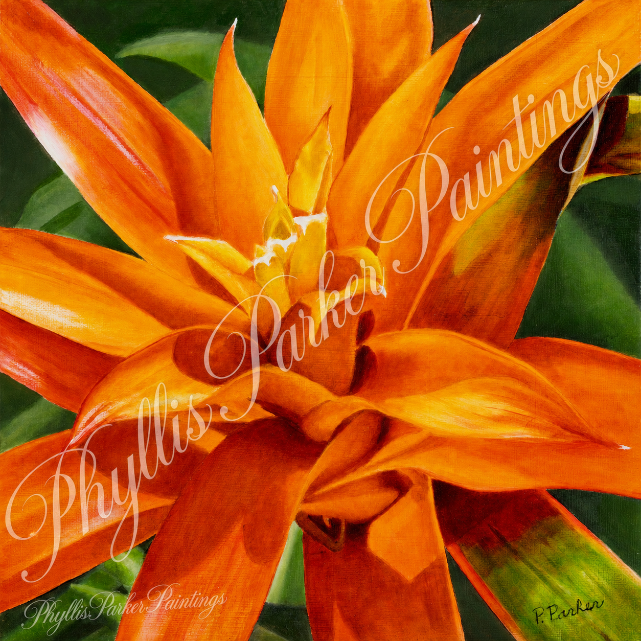 Orange Bromeliad 12x12