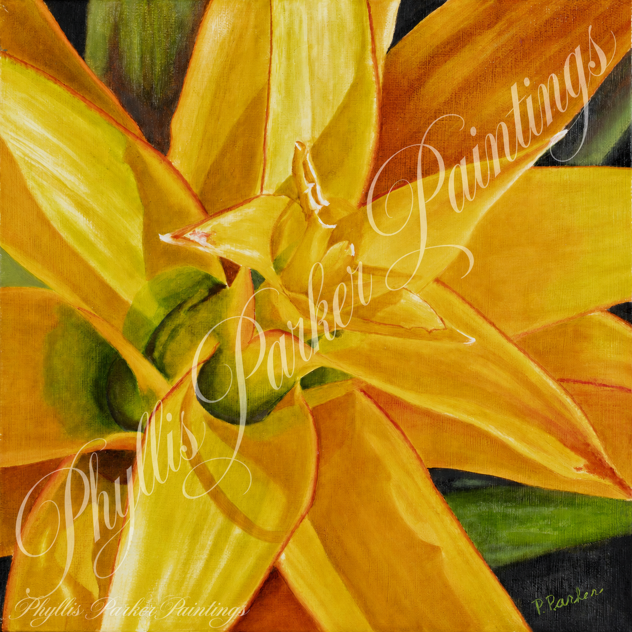 Yellow Bromeliad 12x12