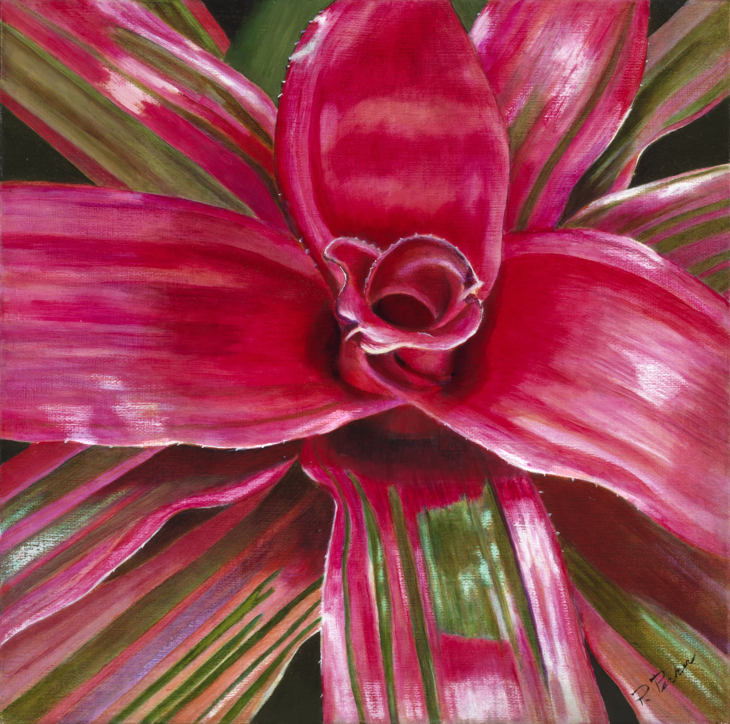 Pink Bromeliad 12x12