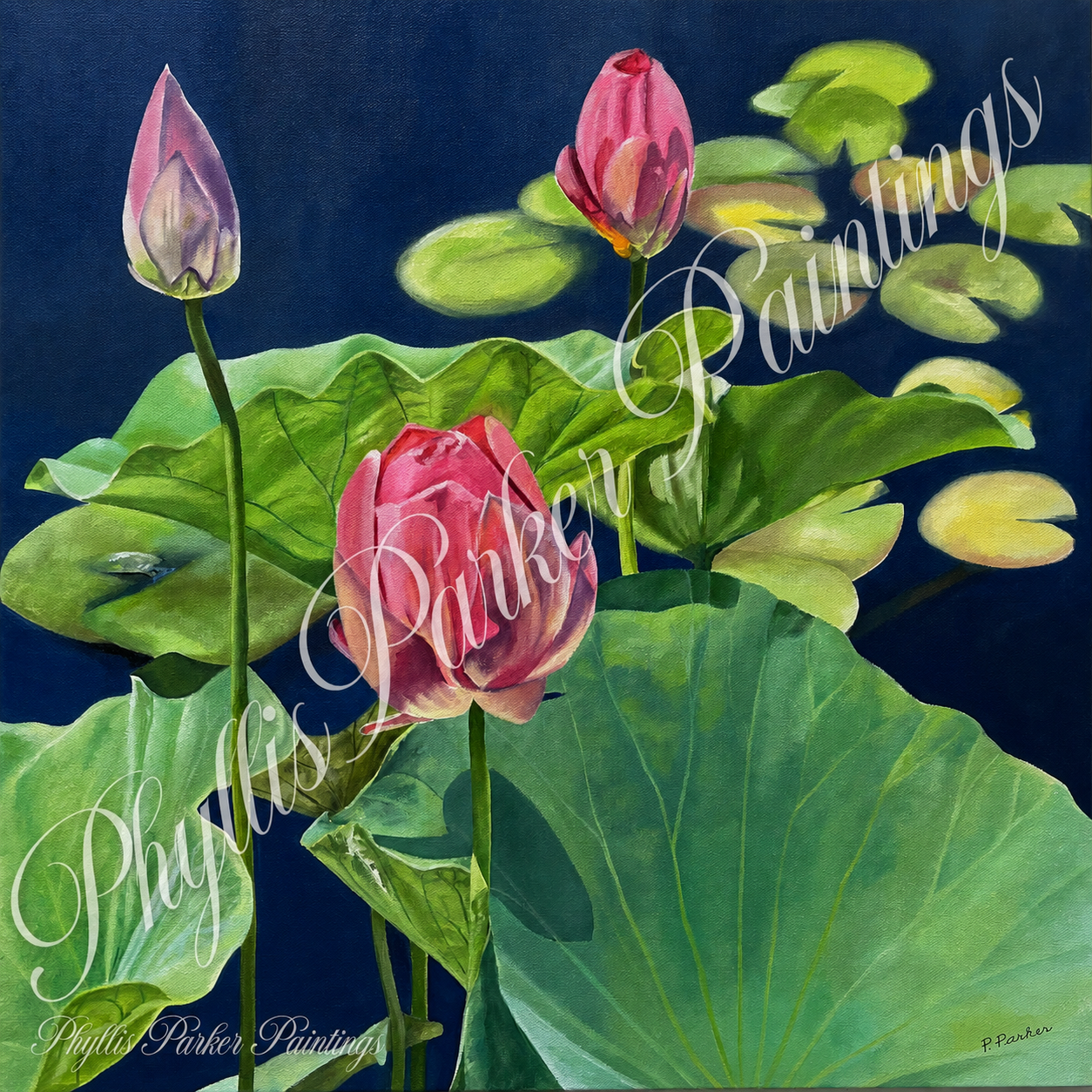 Lotus Blossoms 
Oil on Canvas
24 x 24