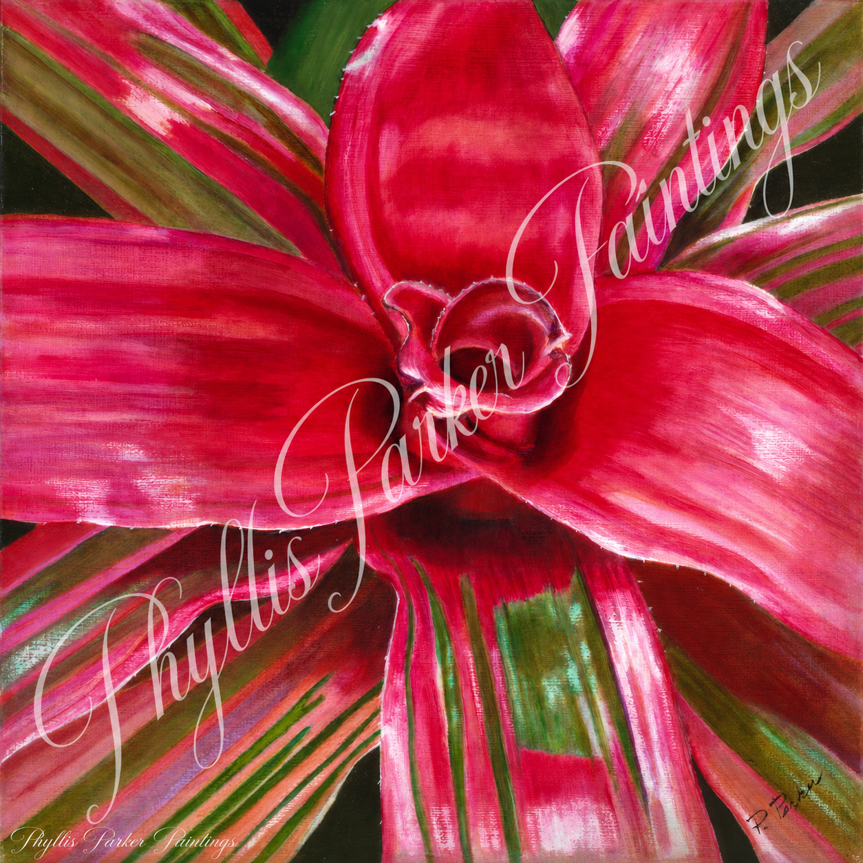 Original Painting has been sold. Pink Bromeliad 12x12