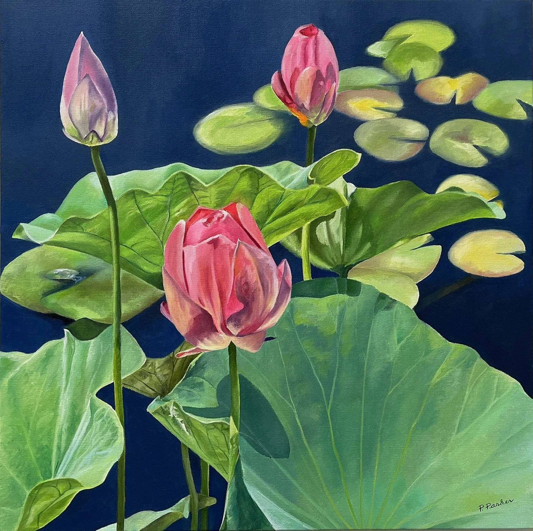 Lotus Blossoms 
Oil on Canvas
24 x 24