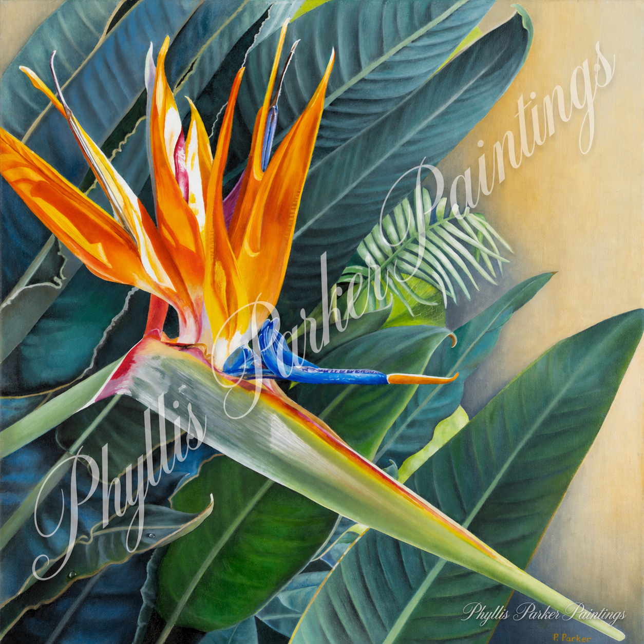 Original Painting has been sold. Bird of Paradise 20x20
