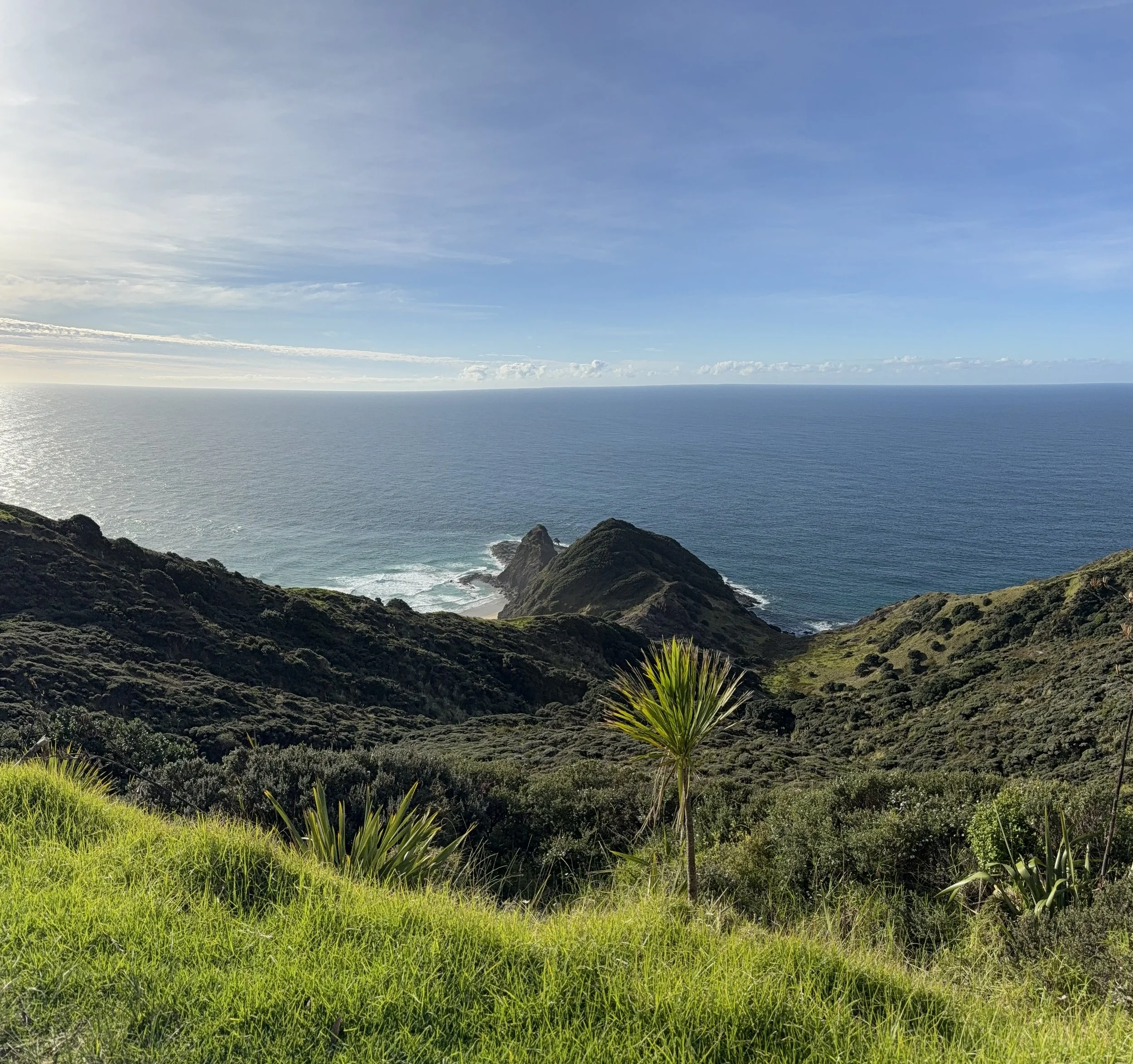 Coastal landscape with lush green shrubs and plants in the foreground, rocky cliffs, and a calm ocean under a partly cloudy blue sky.