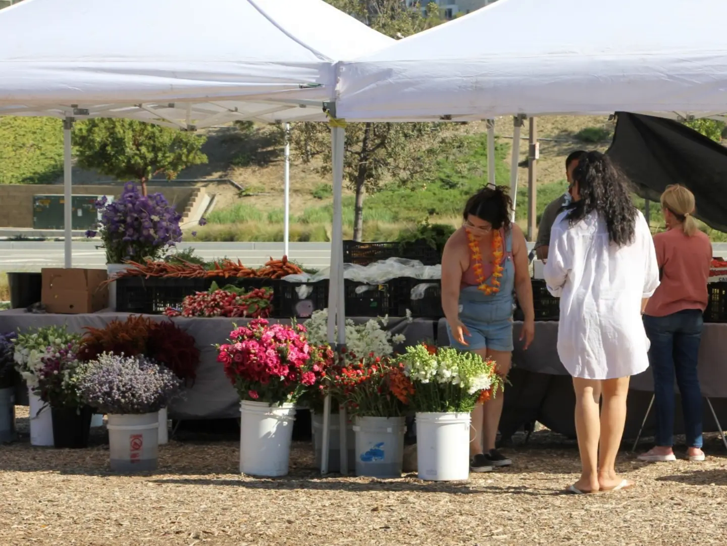 Roots & Rhythm Night Market - Valencia, CA