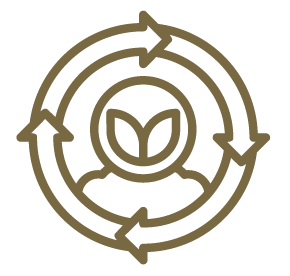 Geometric drawing of an outline square with sections divided by vertical, horizontal, and half circle lines.