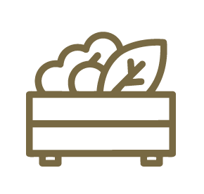 Geometric drawing of an outline square with sections divided by vertical, horizontal, and diagonal lines.