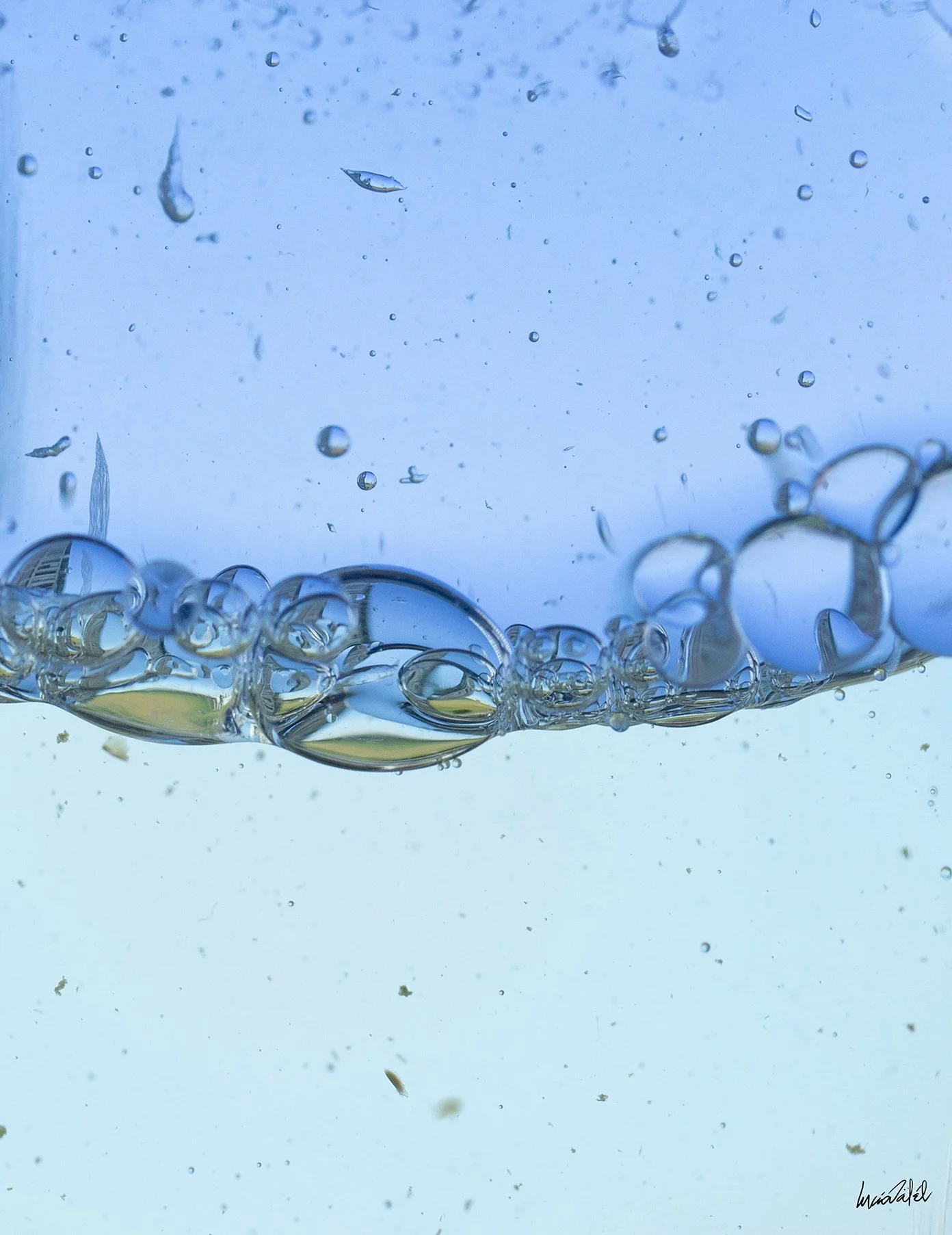 101 - 019A5282_1 10,1x13,1cm logo.jpg