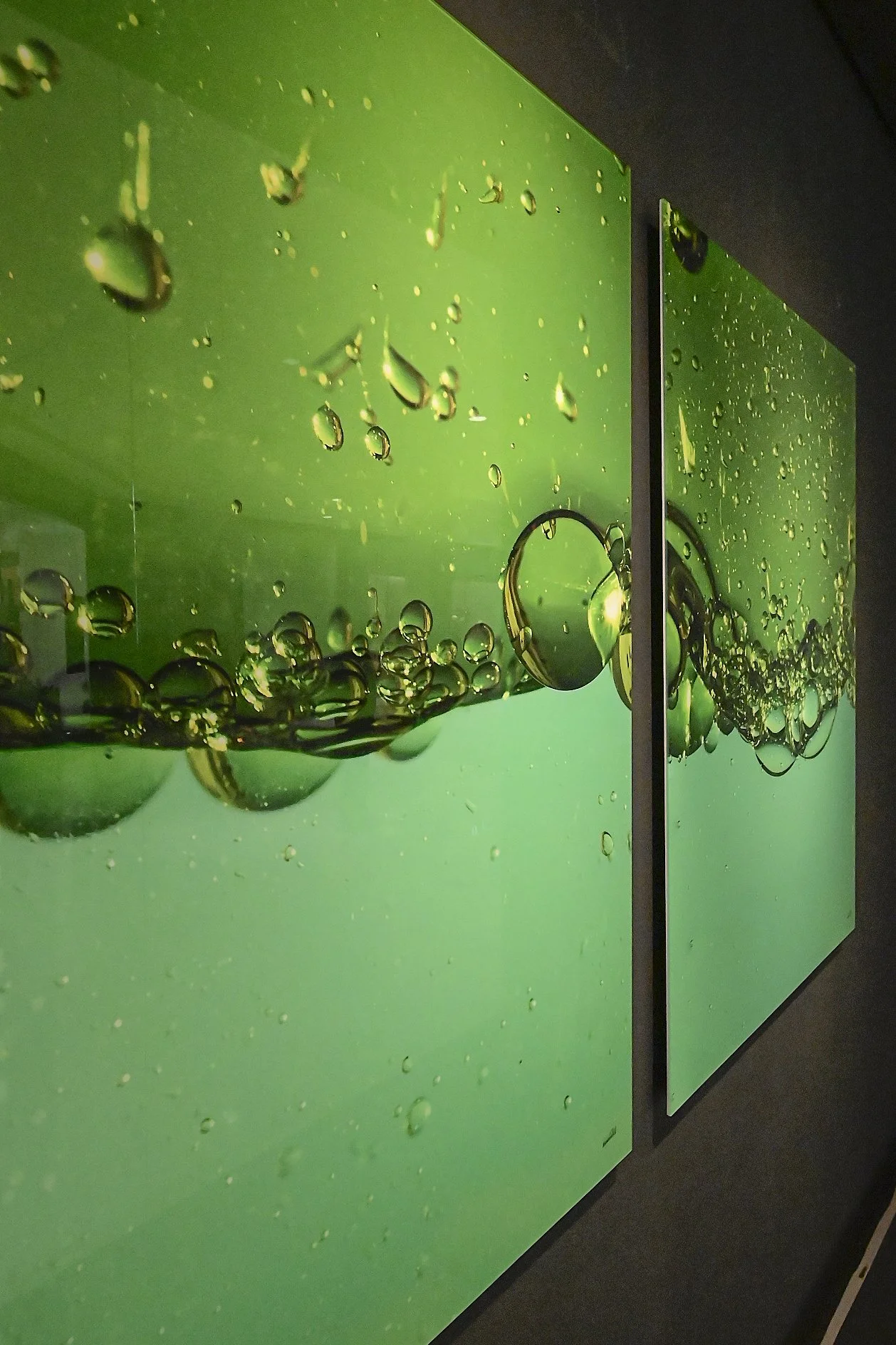 Exposição Lucia Dalel & Gabriela Drewes (75) (4).JPG