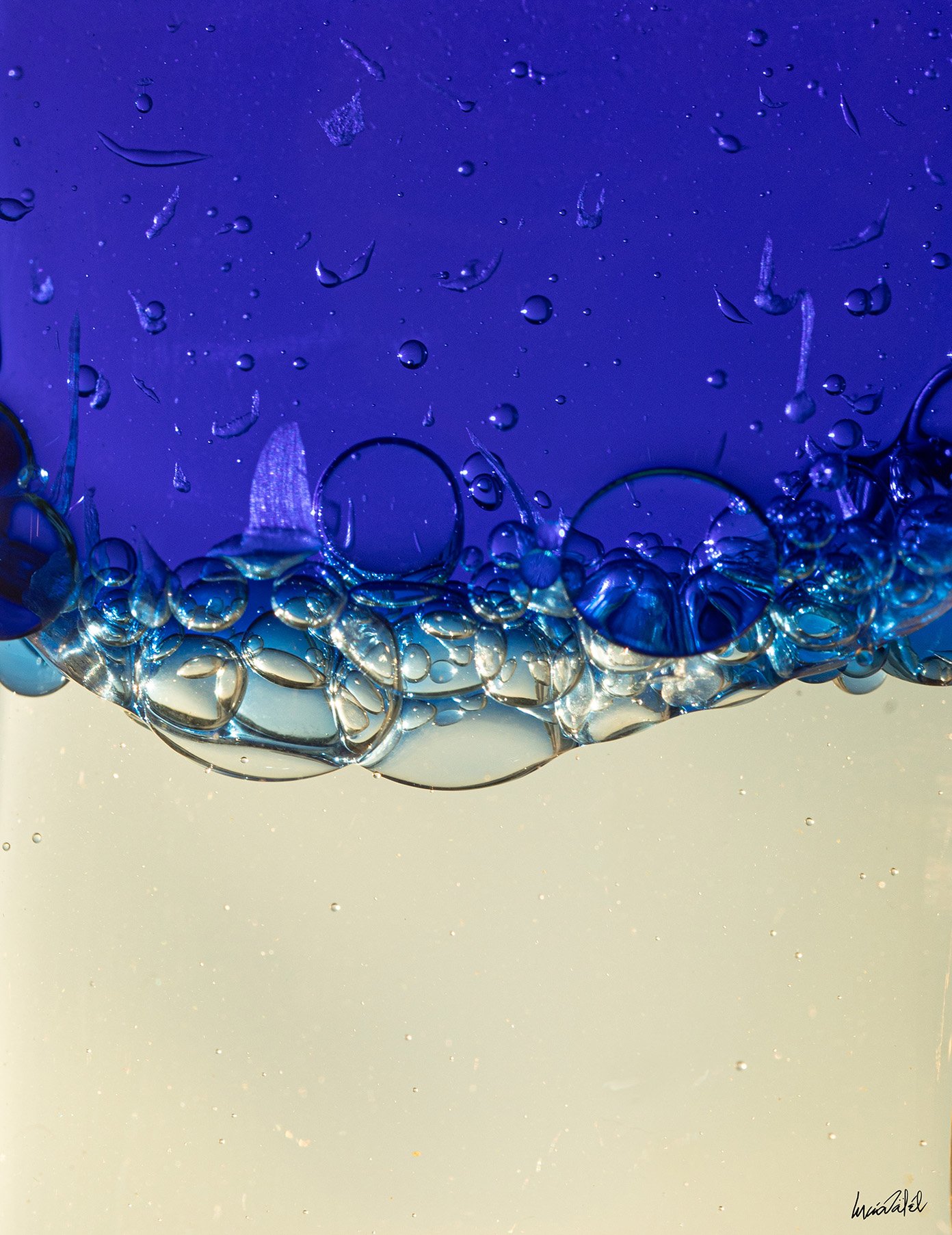 47 - 019A6597 10,1x13,1cm logo.jpg