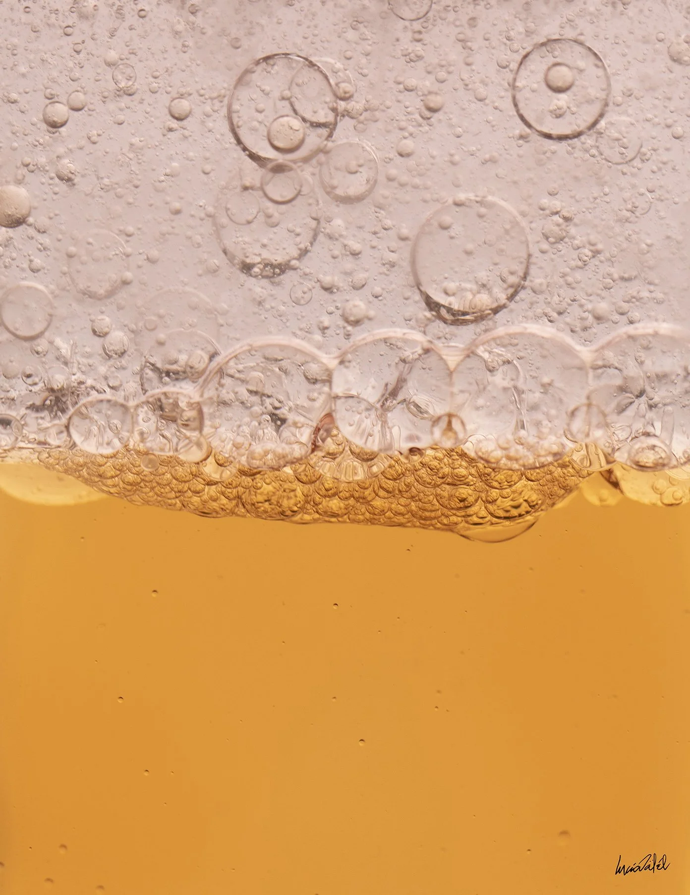 76 - 019A7946 10,1x13,1cm logo.jpg