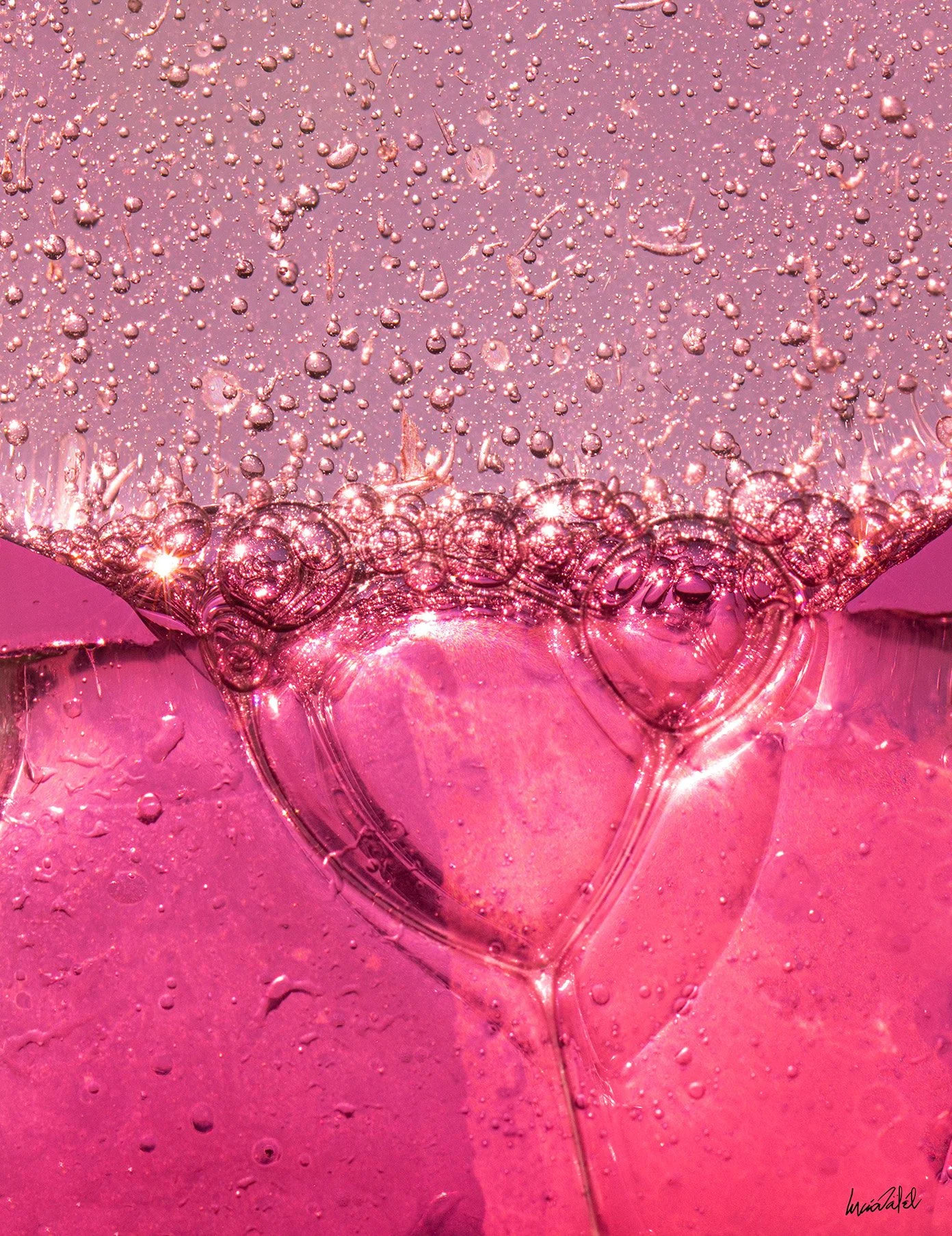 67 - 019A6341 10,1x13,1cm logo (1).jpg