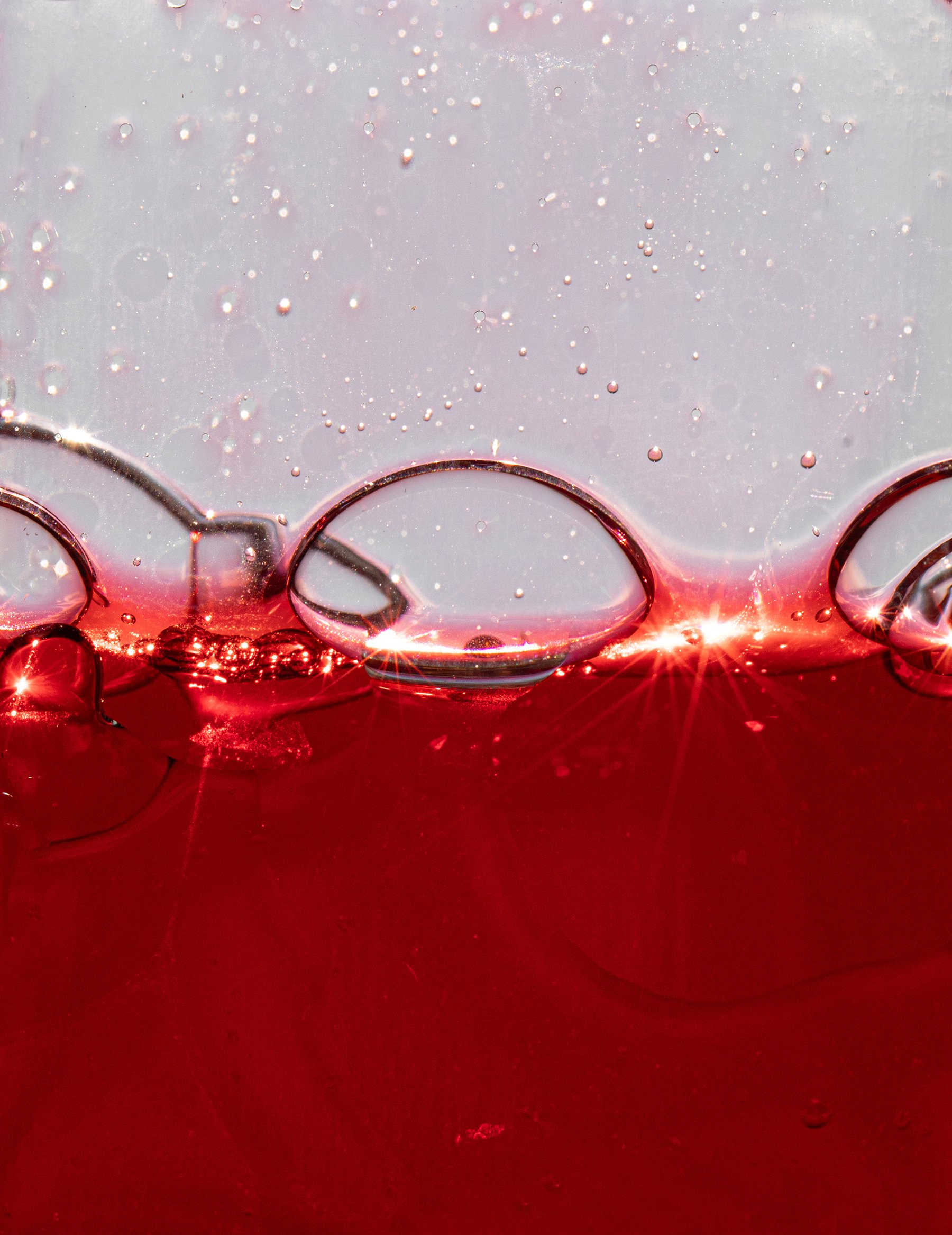 55 - 019A6893 15,24 x 19,76cm 300dpi (1).jpg