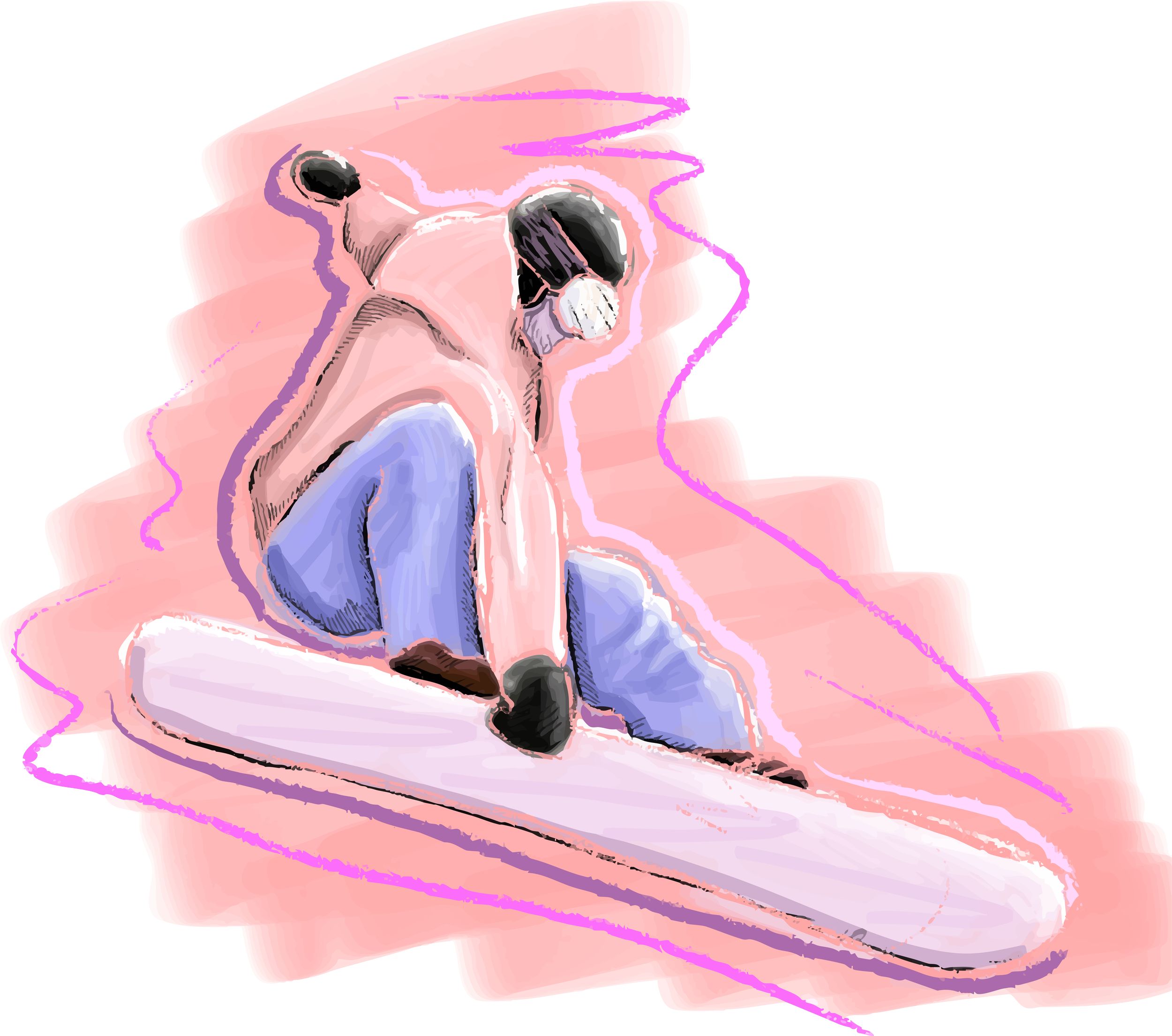 Indy Grab Snowboard Sticker