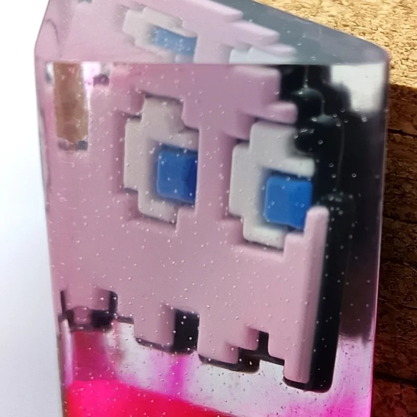 Gros Plan Bille 2 F.Rose.jpg