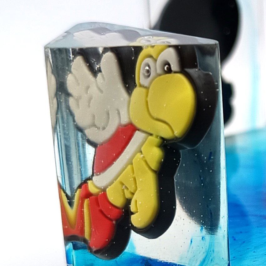 Gros Plan Bille 3B Tortue.jpg