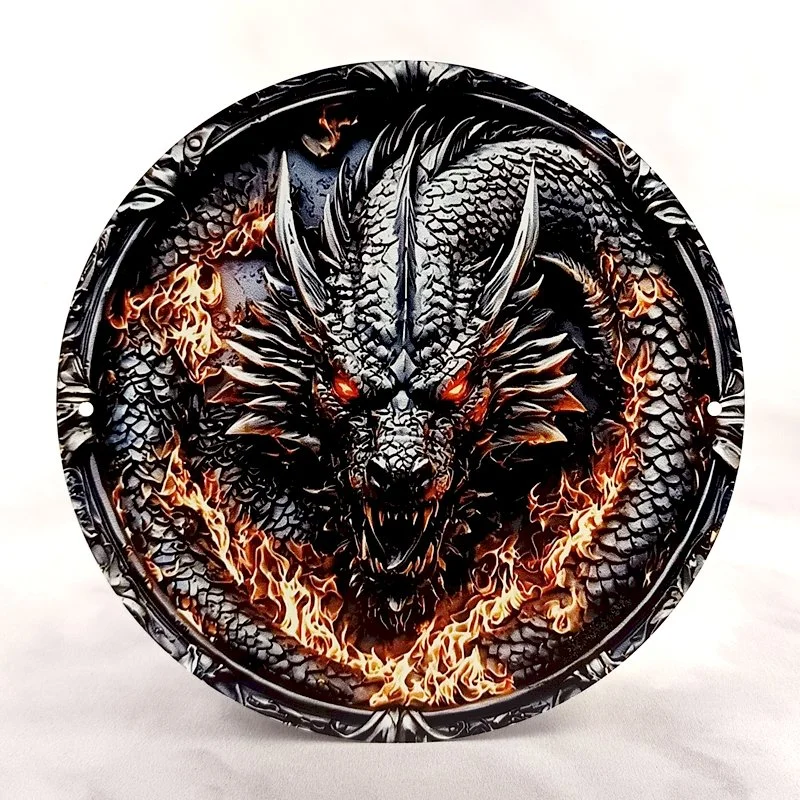 Plaque Métal Vintage Arcade et Gaming DRAGON Tête Grise