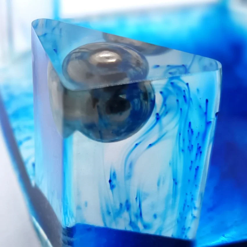 Gros Plan Bille 6.jpg