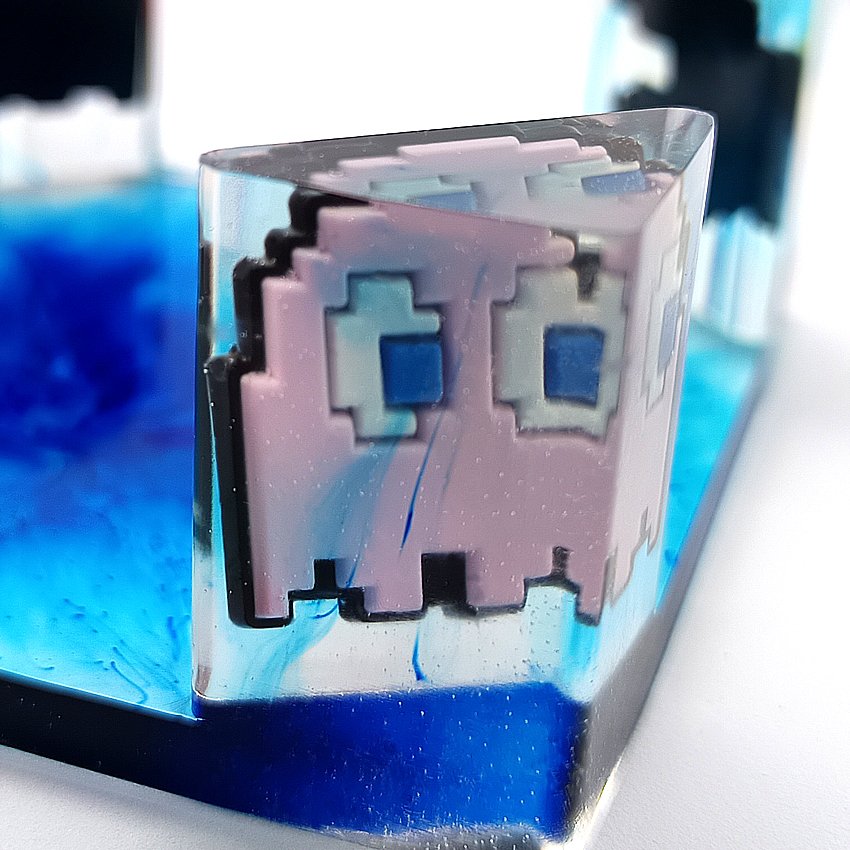 Gros Plan Bille 2 F.Rose.jpg