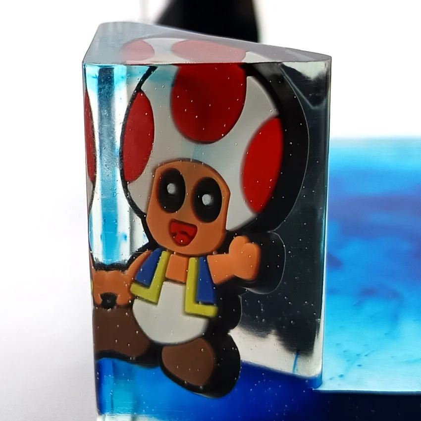 Gros Plan Bille 3C Champignon.jpg