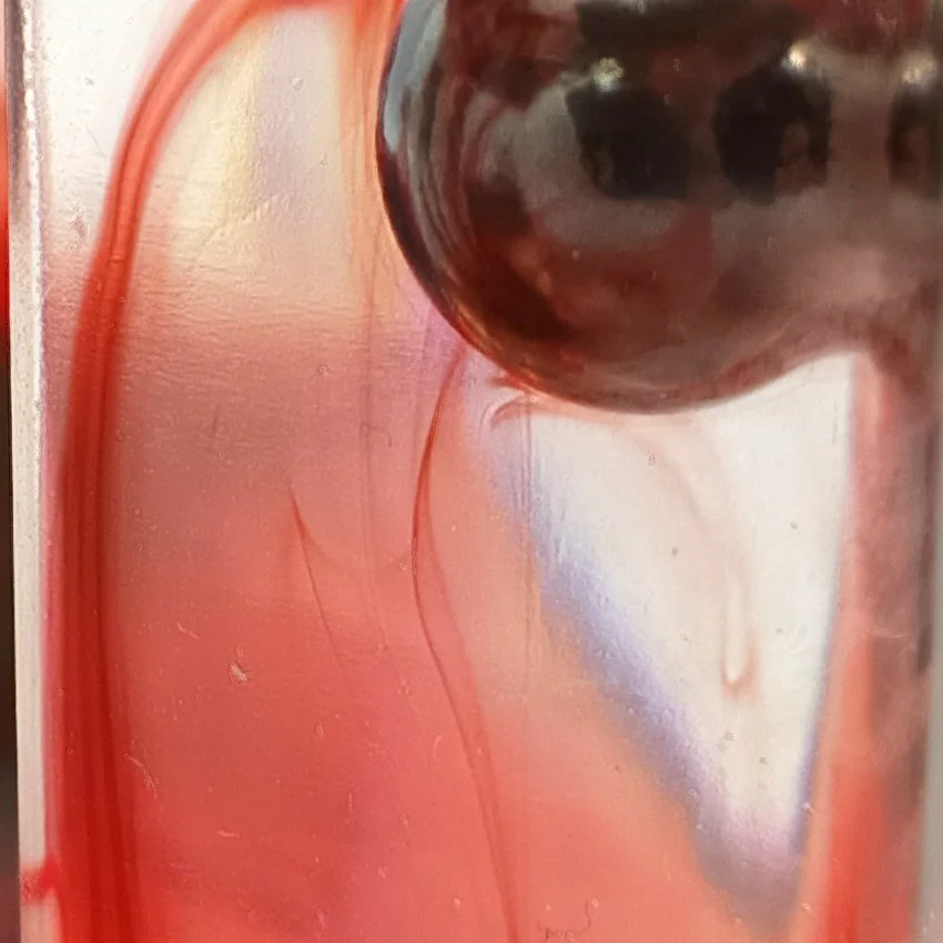 Gros Plan Bille 5.jpg