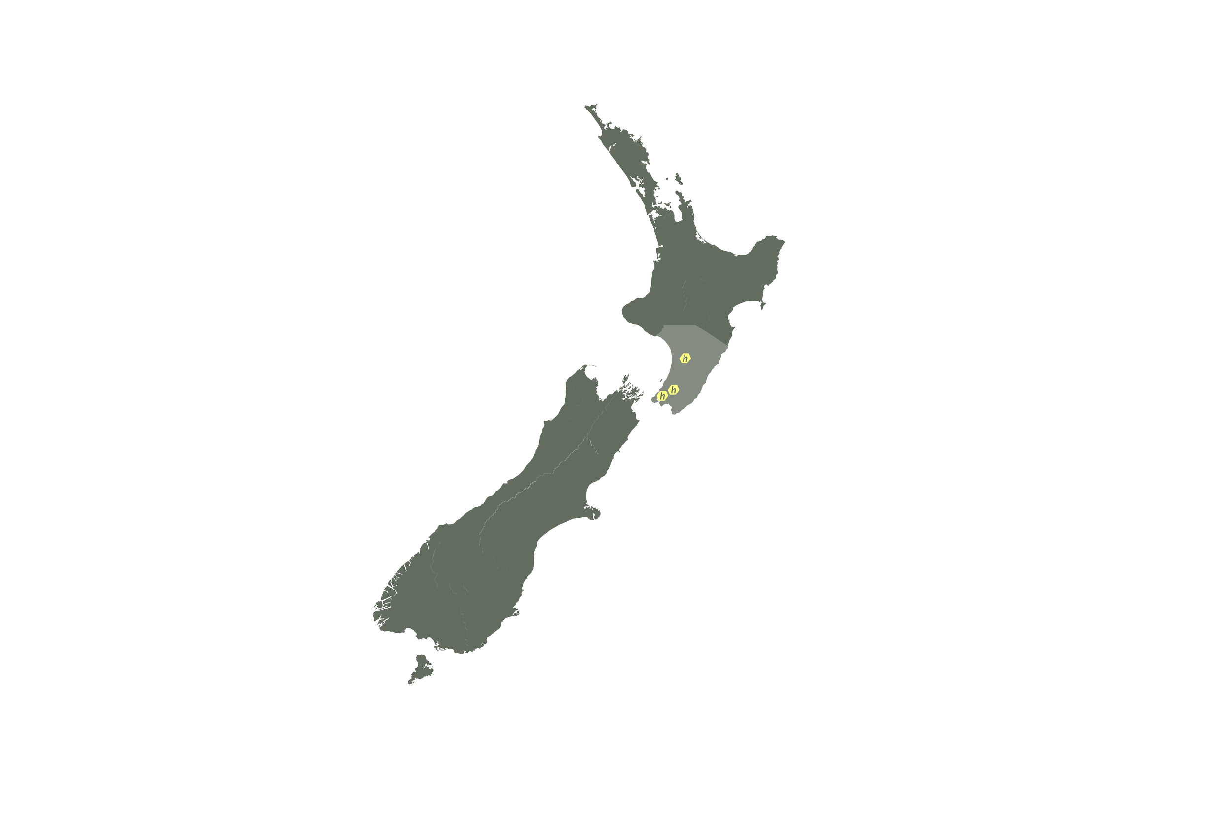 Map of New Zealand with service areas marked from Wellington to Palmerston North, including Whanganui, Taihape, Waipukurau, Greytown. Serving the Wellington region with cleaning professionals stationed in Wellington, Greytown, and Palmerston North.