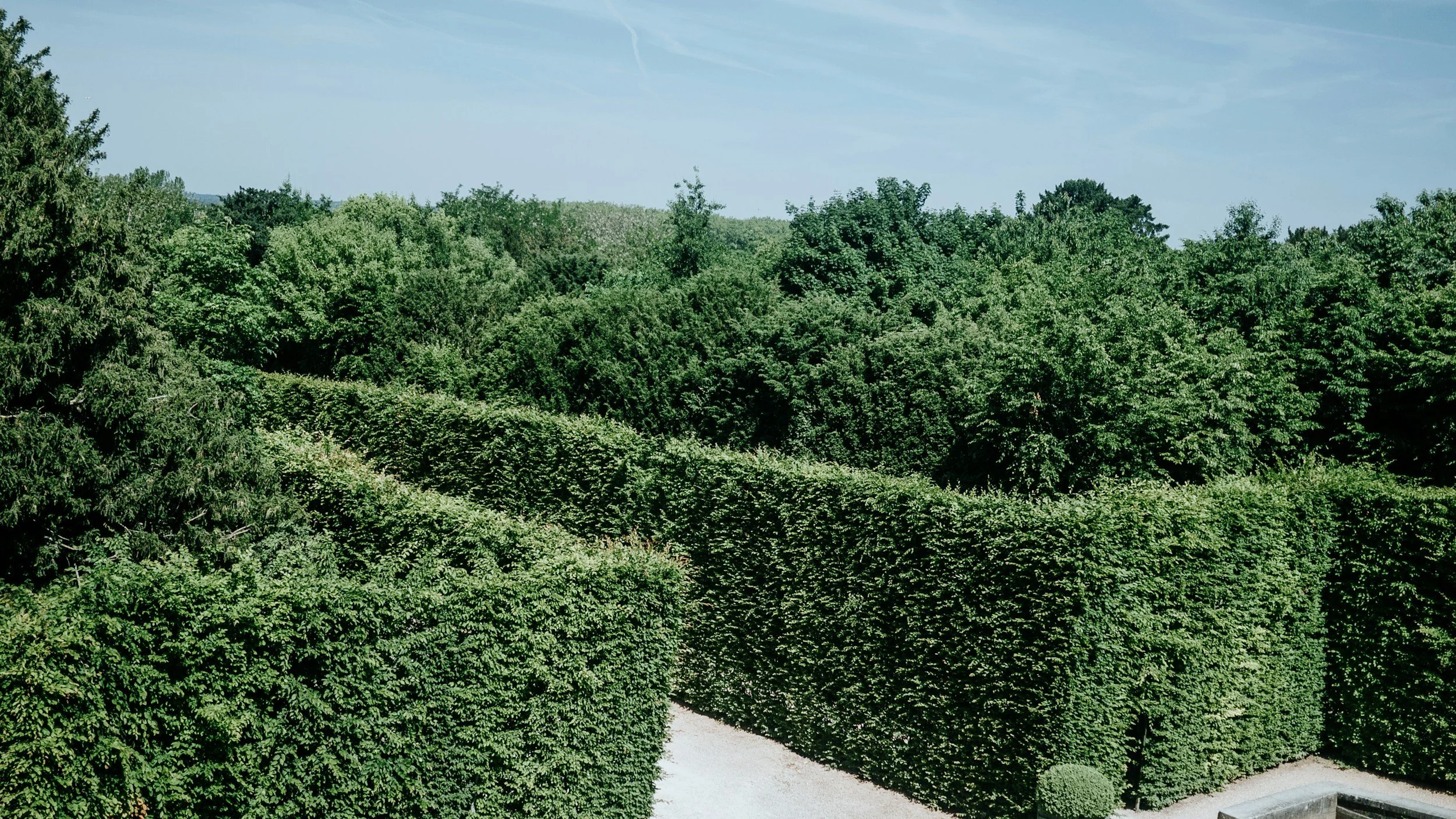 Green trimmed hedges and bushes lining a pathway in a garden or park with trees and a blue sky in the background.
