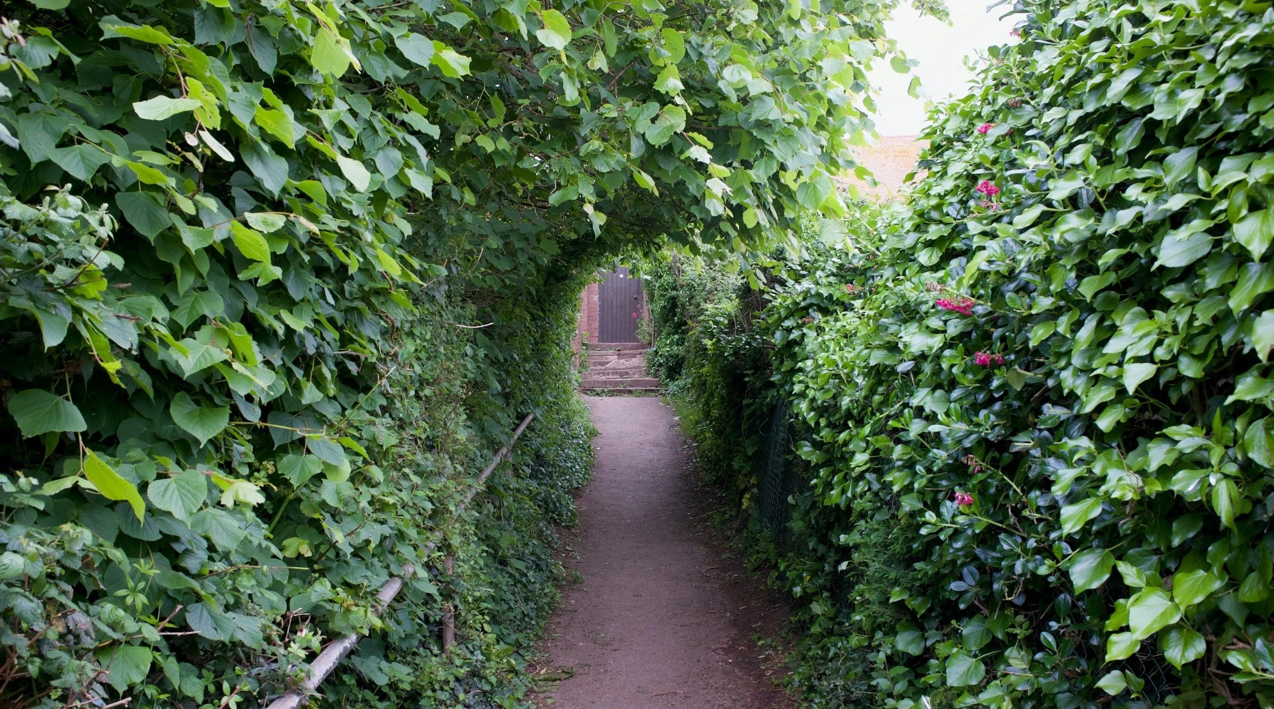 A narrow dirt pathway surrounded by lush green bushes and trees, with steps leading up to a closed wooden gate at the end of the path.