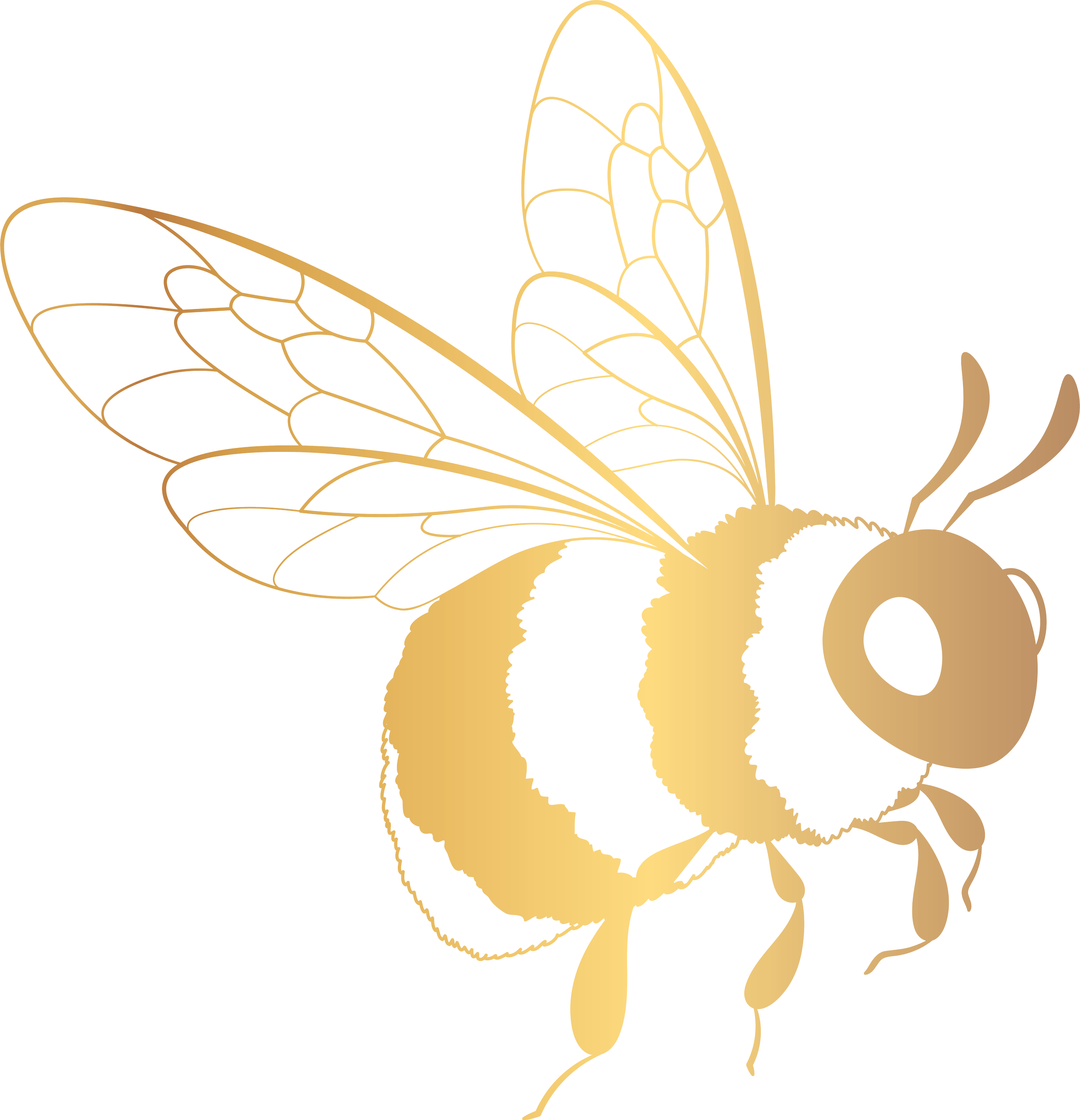 Illustration of a bee with detailed wings, body, and antennae in gold and white colors.