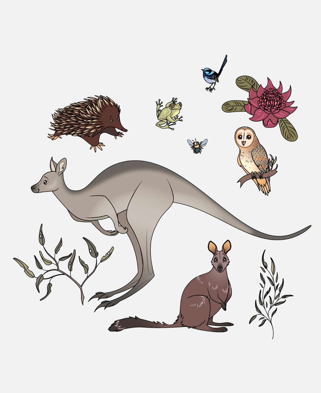 Illustration of various Australian animals including a kangaroo, koala, possum, echidna, owl, bee, frog, bird, and a flower.