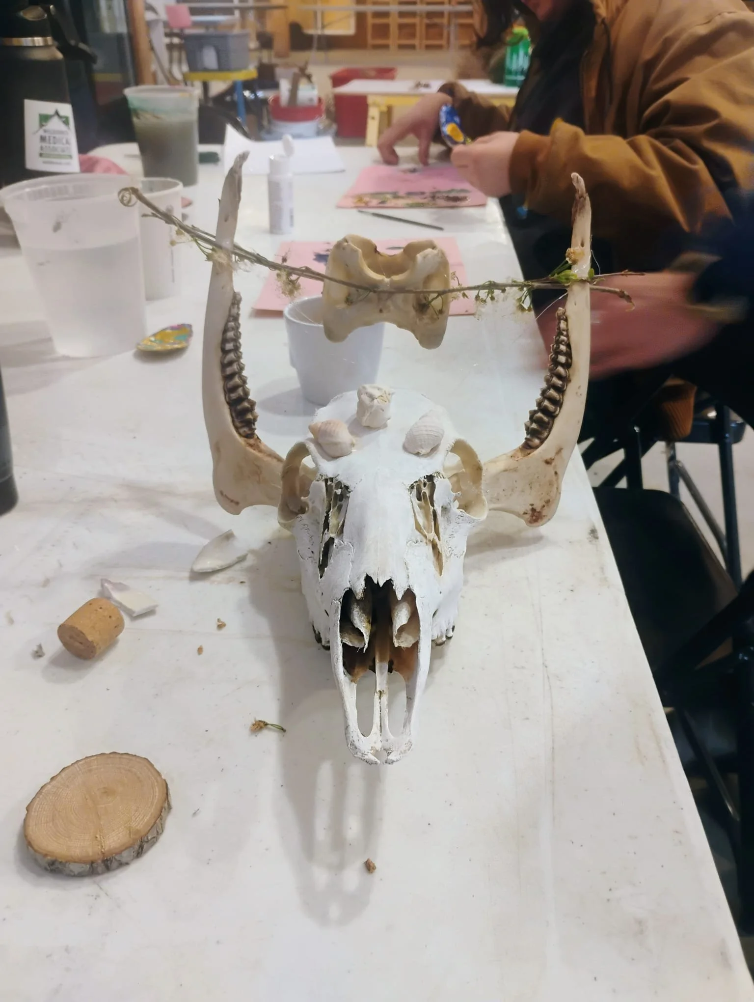 A collaboration piece by students of the Ecology Learning Center