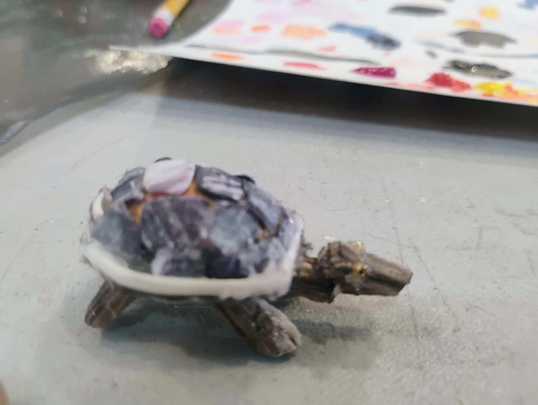 A turtle made from beach stones, and drift wood made by a student of the Ecology Learning Center