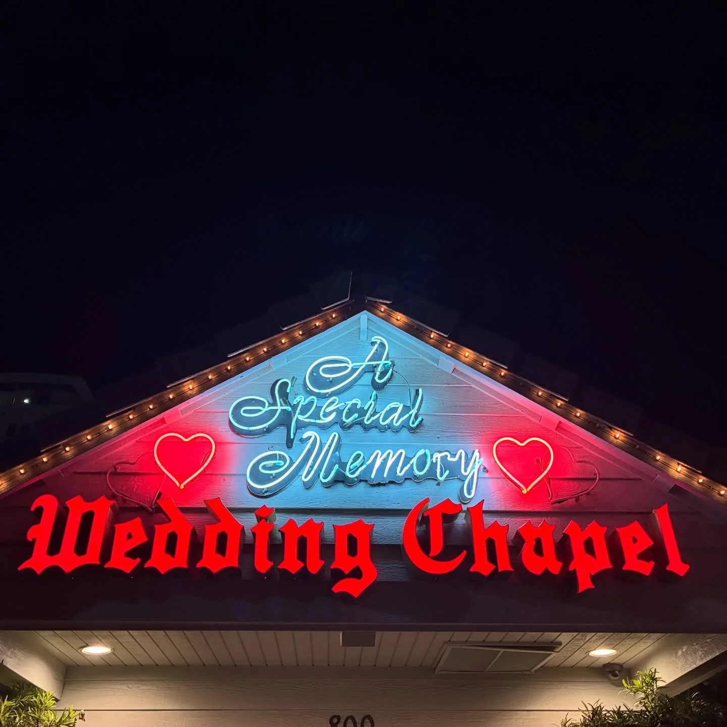 36 hours in Vegas 🎰 for Delilah + Evan&rsquo;s perfect wedding &hearts;️