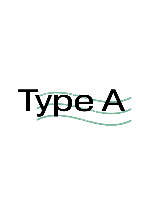 Type A: Full Concierge Advising