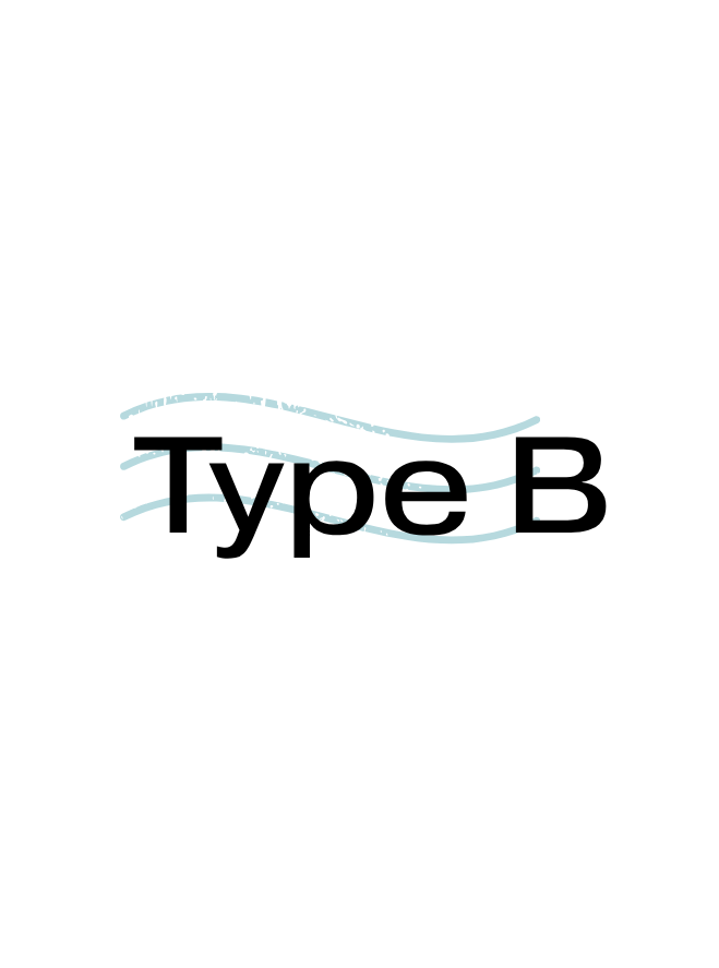 Type B: Flexible Framework Advising