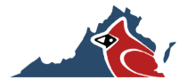 ElectUp Questionnaire (Cardinal Election Guide)