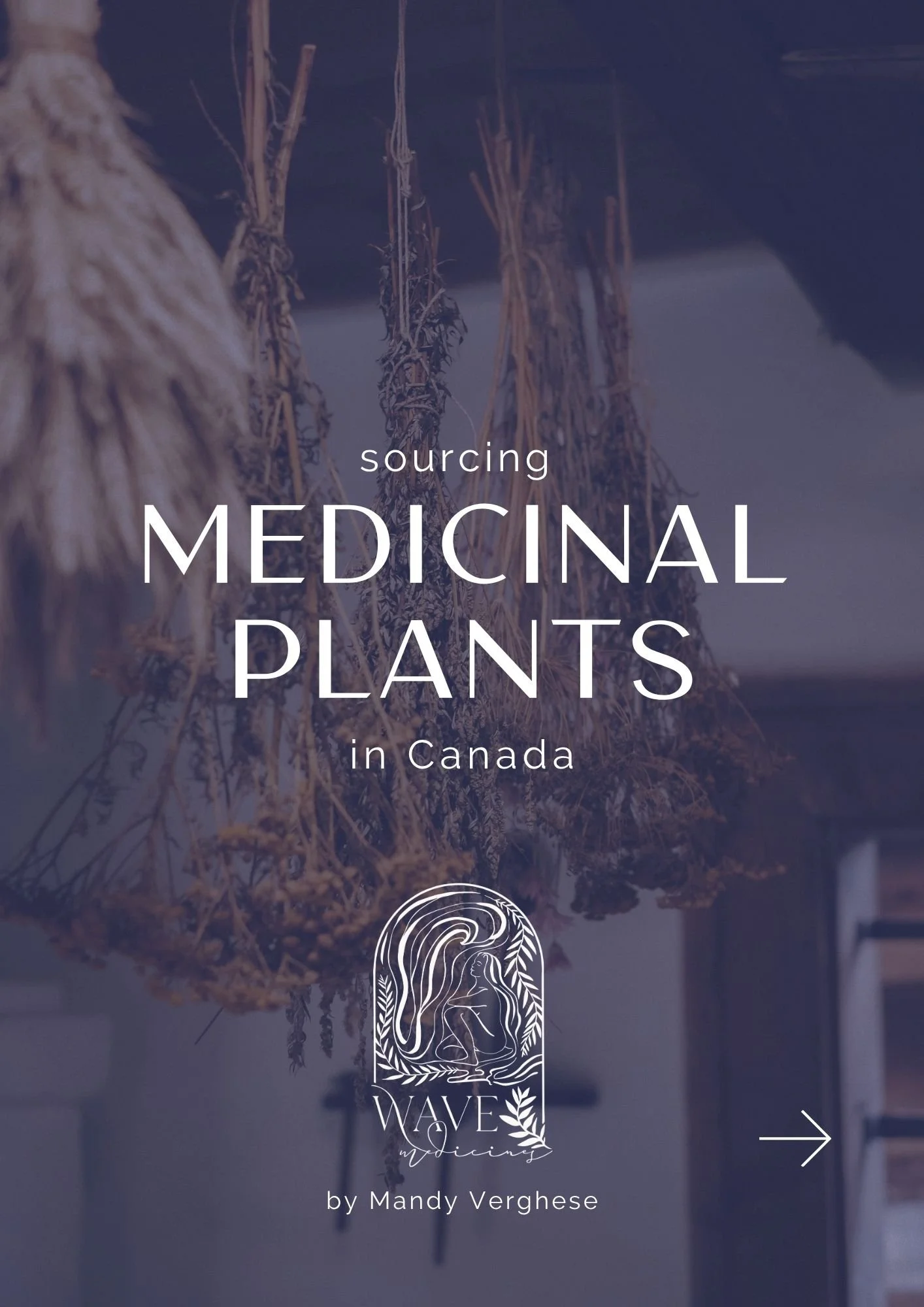 Sourcing Medicinal Herbs in Canada